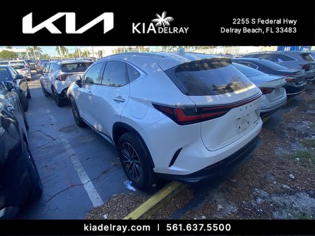 Used 2024 Lexus NX 350 AWD w/ Cold Area Package image 4