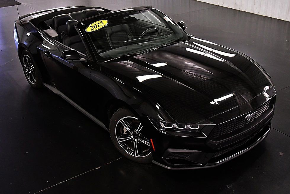 Used 2025 Ford Mustang Premium image 11