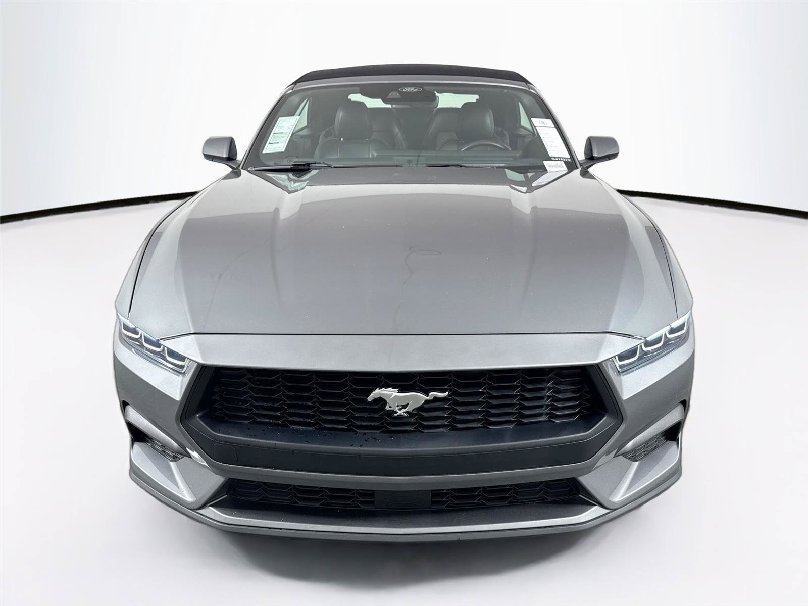 Used 2025 Ford Mustang Premium RWD image 8