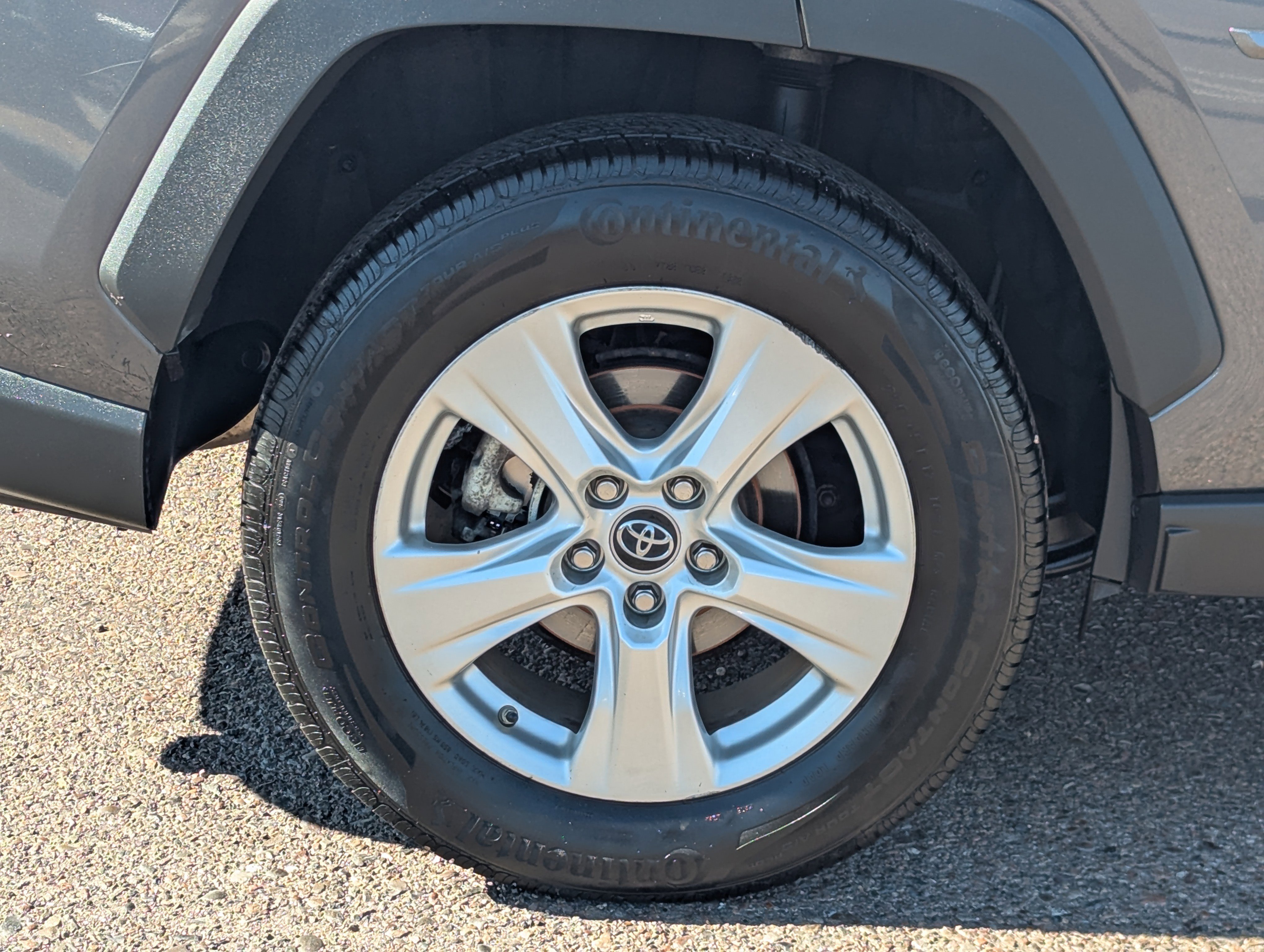 Used 2019 Toyota RAV4 XLE image 7