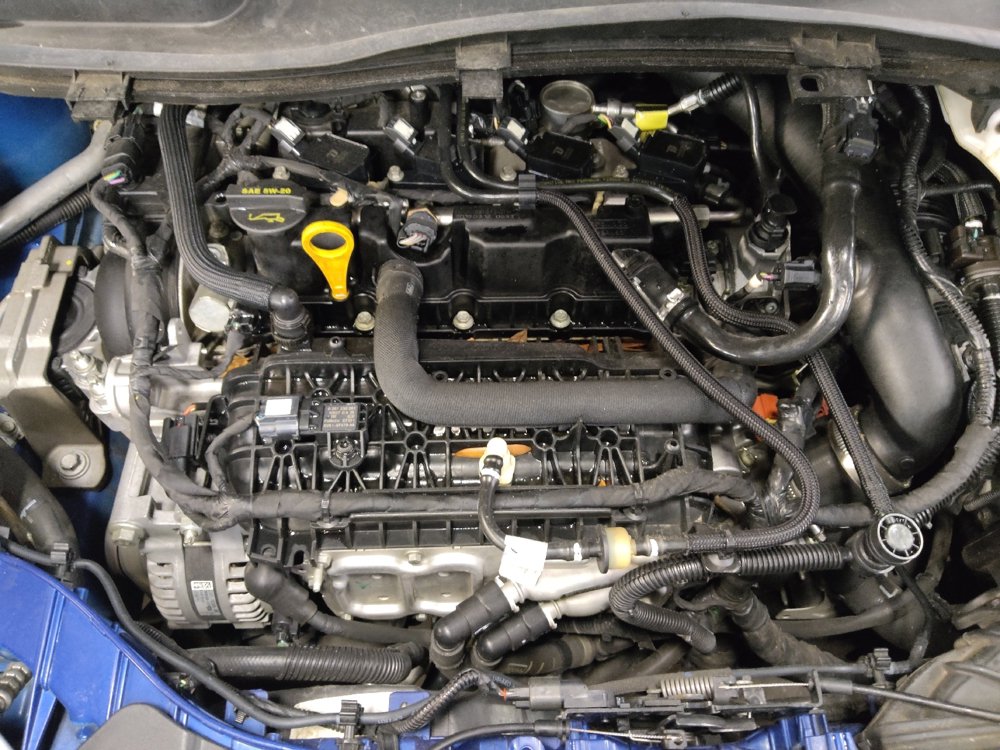 Used 2019 Ford Escape SEL FWD image 30