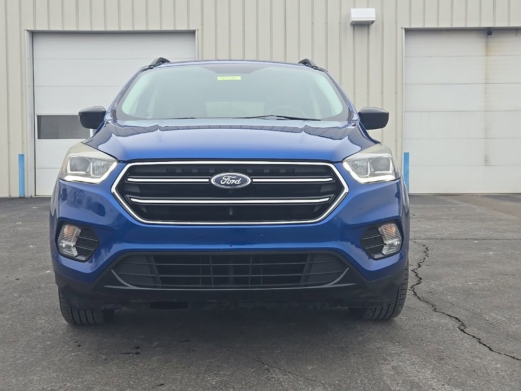 Used 2017 Ford Escape SE w/ Equipment Group 201A image 2