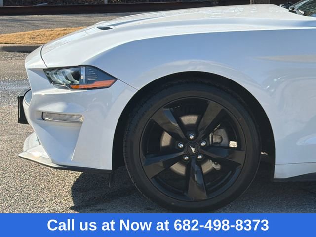 Certified 2022 Ford Mustang EcoBoost w/ Equipment Group 101A image 5