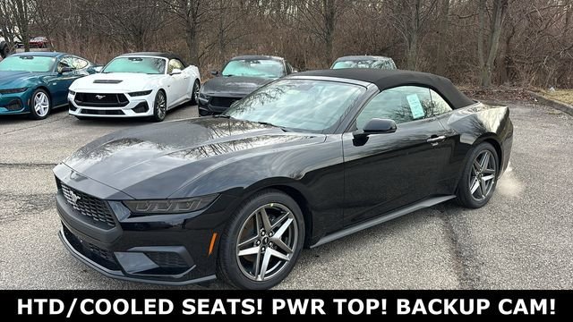 New 2026 Ford Mustang Premium RWD image 3