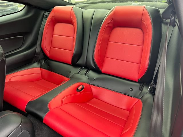 Used 2022 Ford Mustang GT Premium w/ Equipment Group 401A RWD image 6