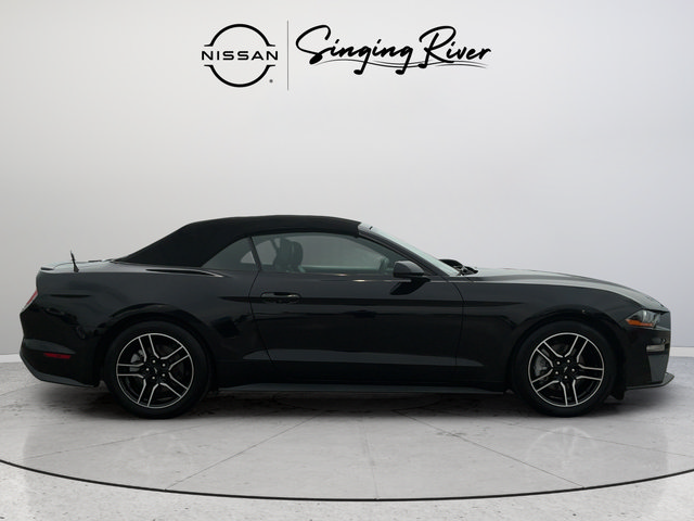 Used 2022 Ford Mustang Premium RWD image 8
