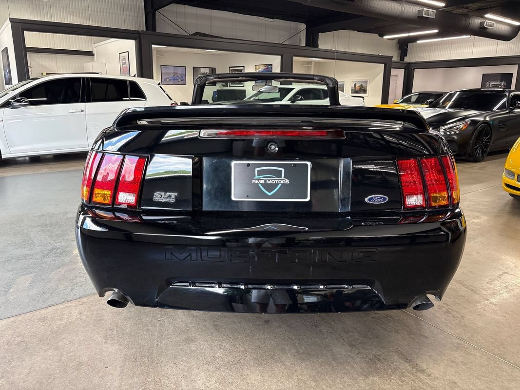 Used 1999 Ford Mustang Cobra RWD image 11