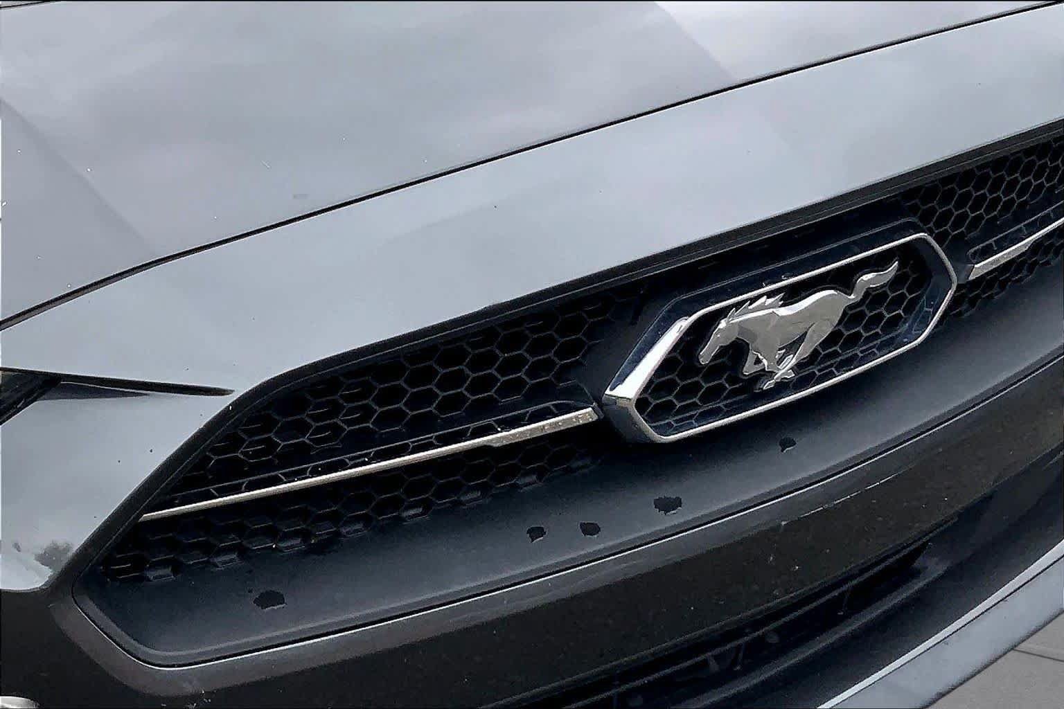 Used 2019 Ford Mustang Premium w/ Equipment Group 201A RWD image 28