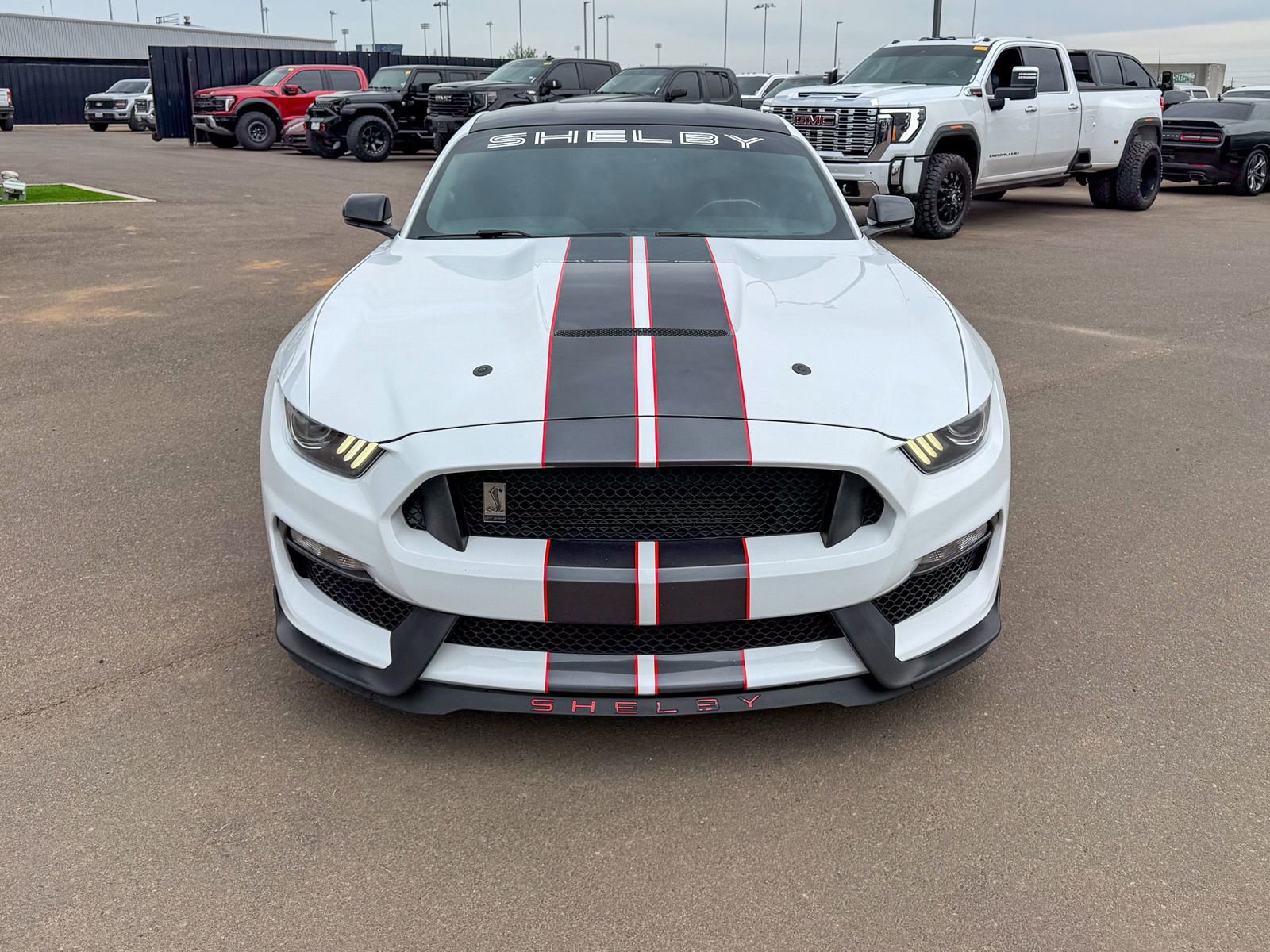 Used 2017 Ford Mustang Shelby GT350 w/ Electronics Package image 2