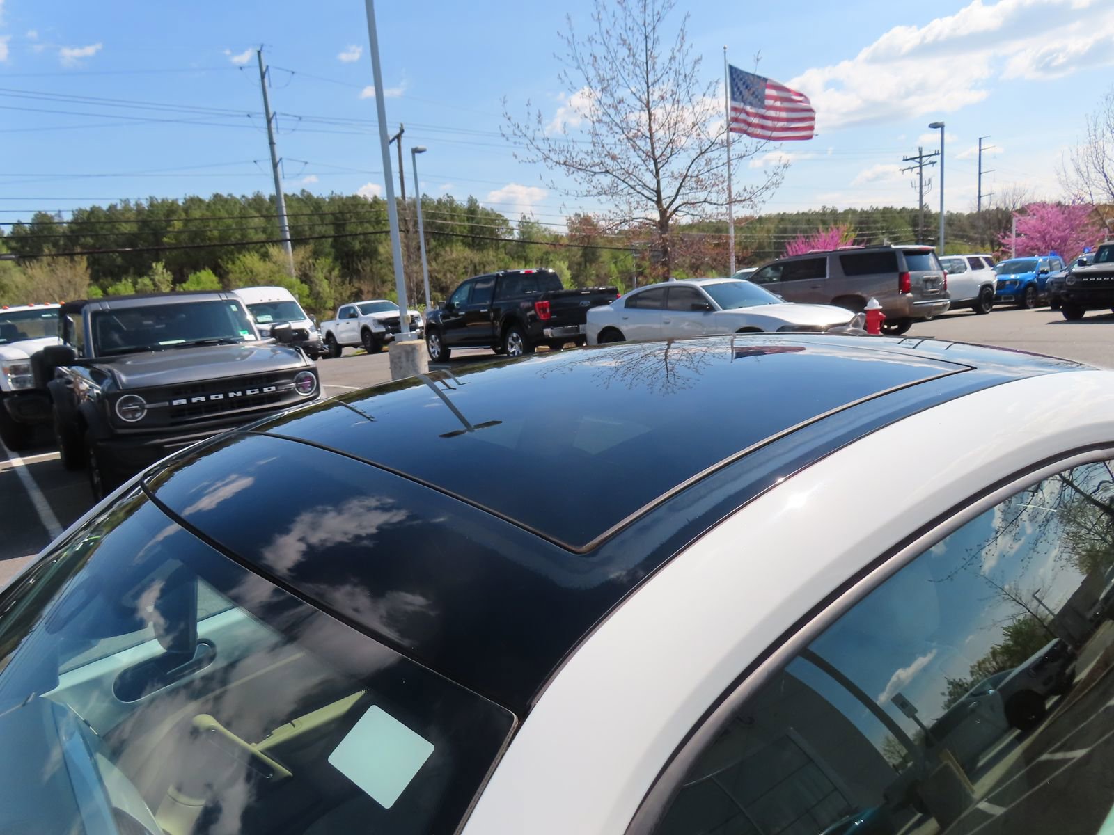 Used 2016 Volkswagen Beetle 1.8T SEL image 9