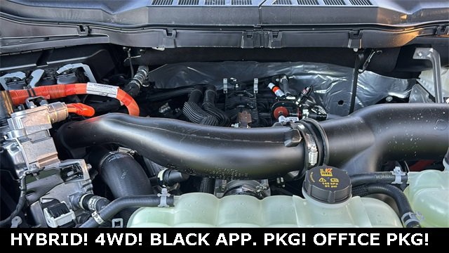 New 2025 Ford F150 XLT w/ Equipment Group 302A MID image 30