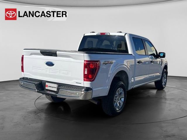 Used 2023 Ford F150 XLT image 7