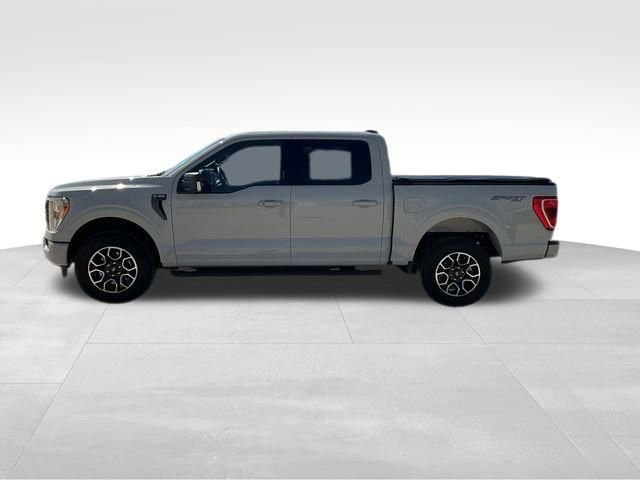 Used 2023 Ford F150 XLT w/ Equipment Group 302A High image 8