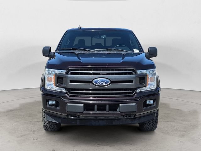 Used 2019 Ford F150 XLT w/ Equipment Group 302A Luxury AWD/4WD image 8