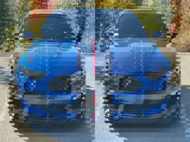 Used 2017 Ford Mustang Shelby GT350 image 30