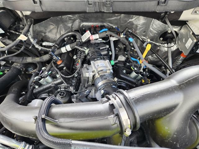 New 2026 Ford F150 XLT w/ Equipment Group 303A High image 20