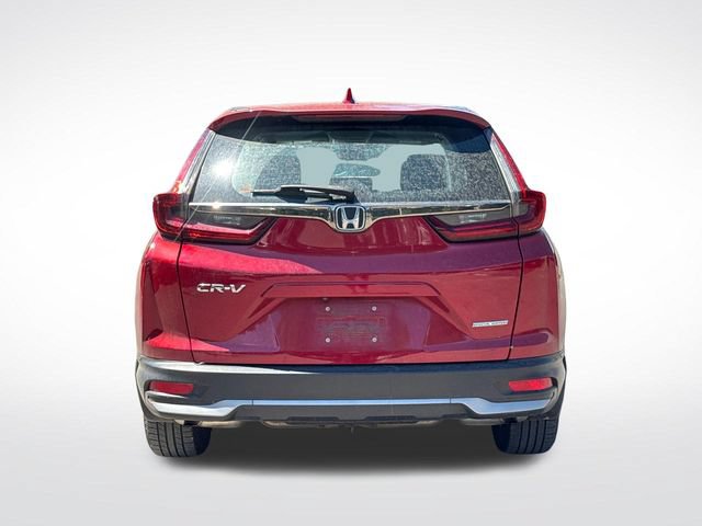 Used 2022 Honda CR-V Special Edition image 4
