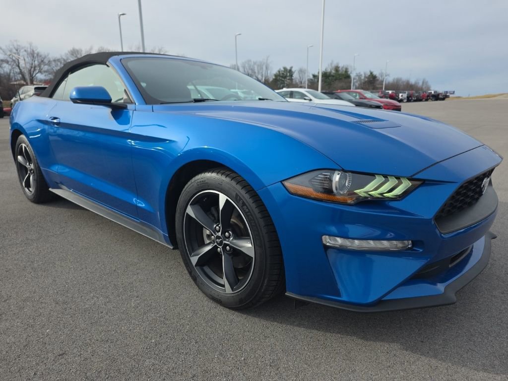 Used 2020 Ford Mustang EcoBoost w/ Equipment Group 101A image 3