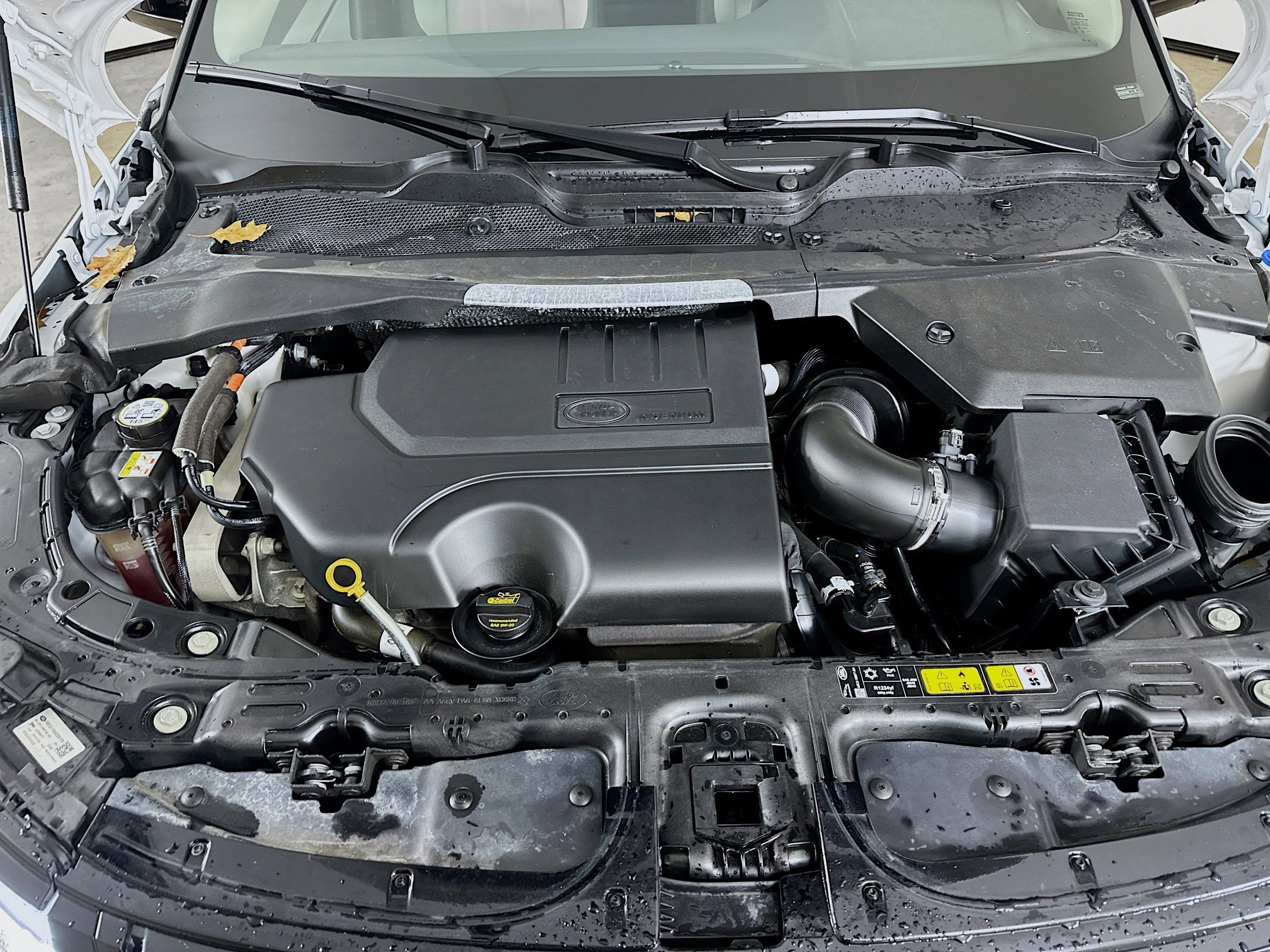 Used 2024 Land Rover Range Rover Evoque Dynamic SE image 41