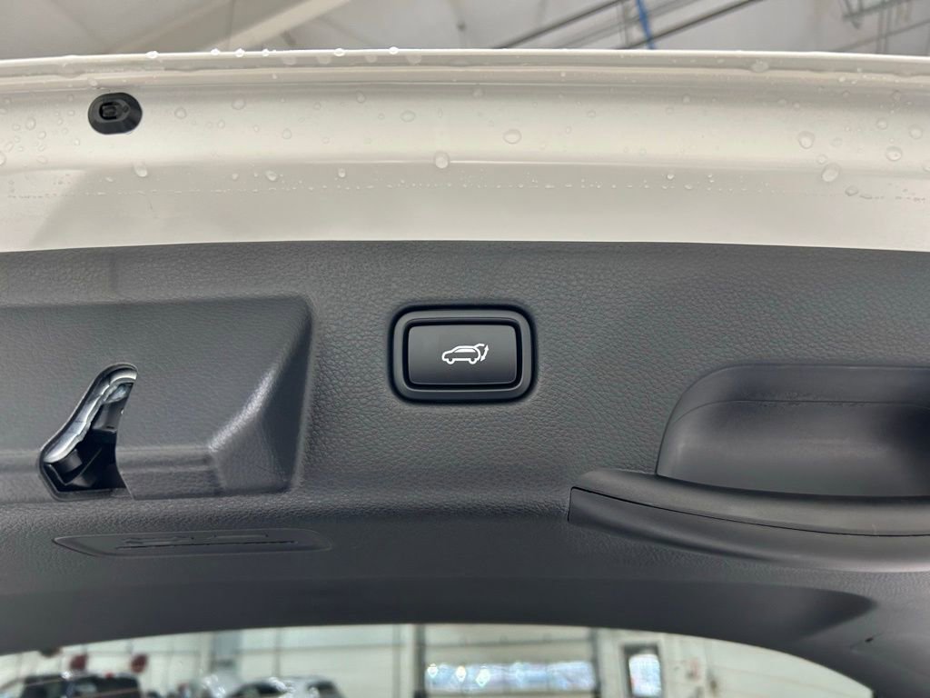 New 2026 Kia Seltos SX w/ SX Sunroof Package image 26