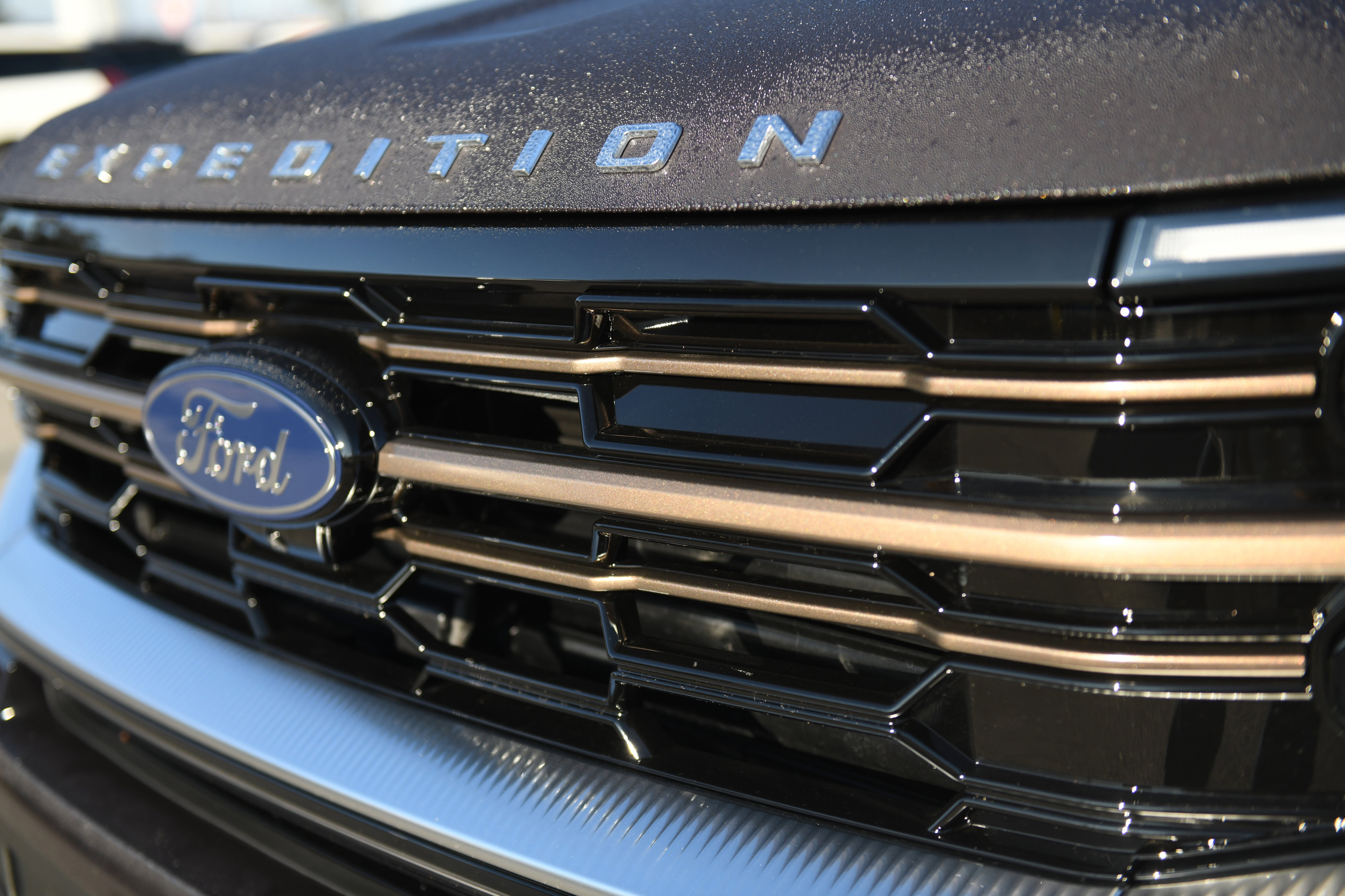 New 2025 Ford Expedition King Ranch image 8