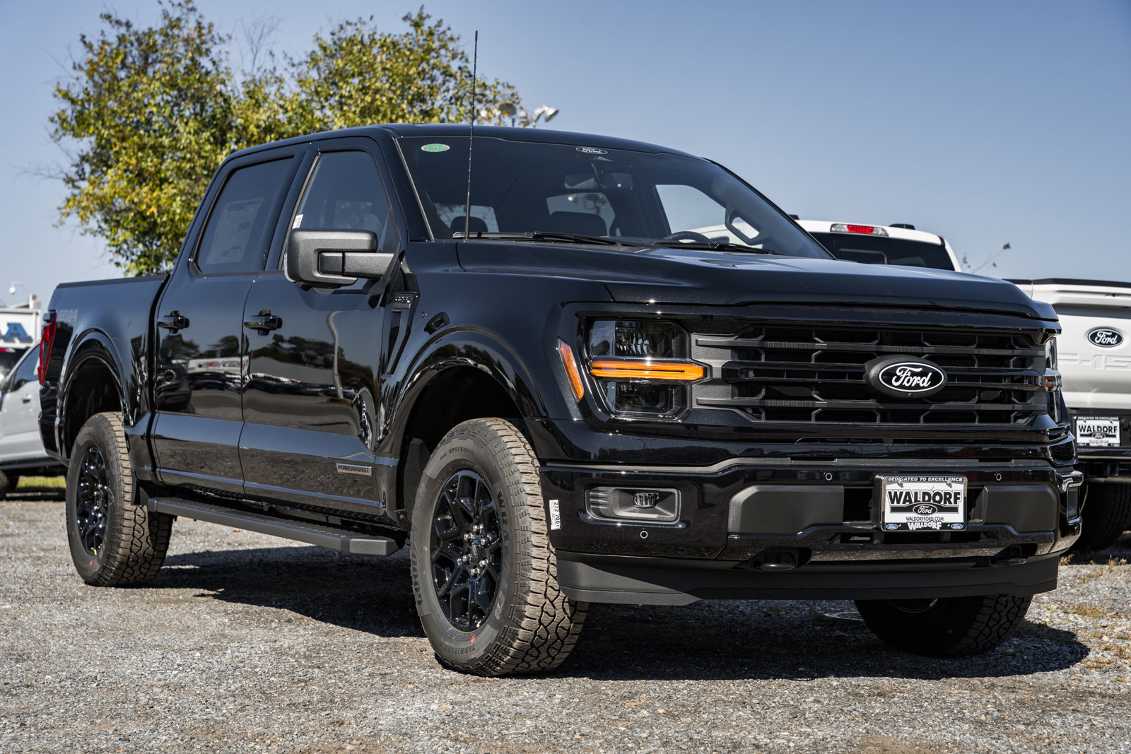 New 2025 Ford F150 XLT w/ Equipment Group 302A MID