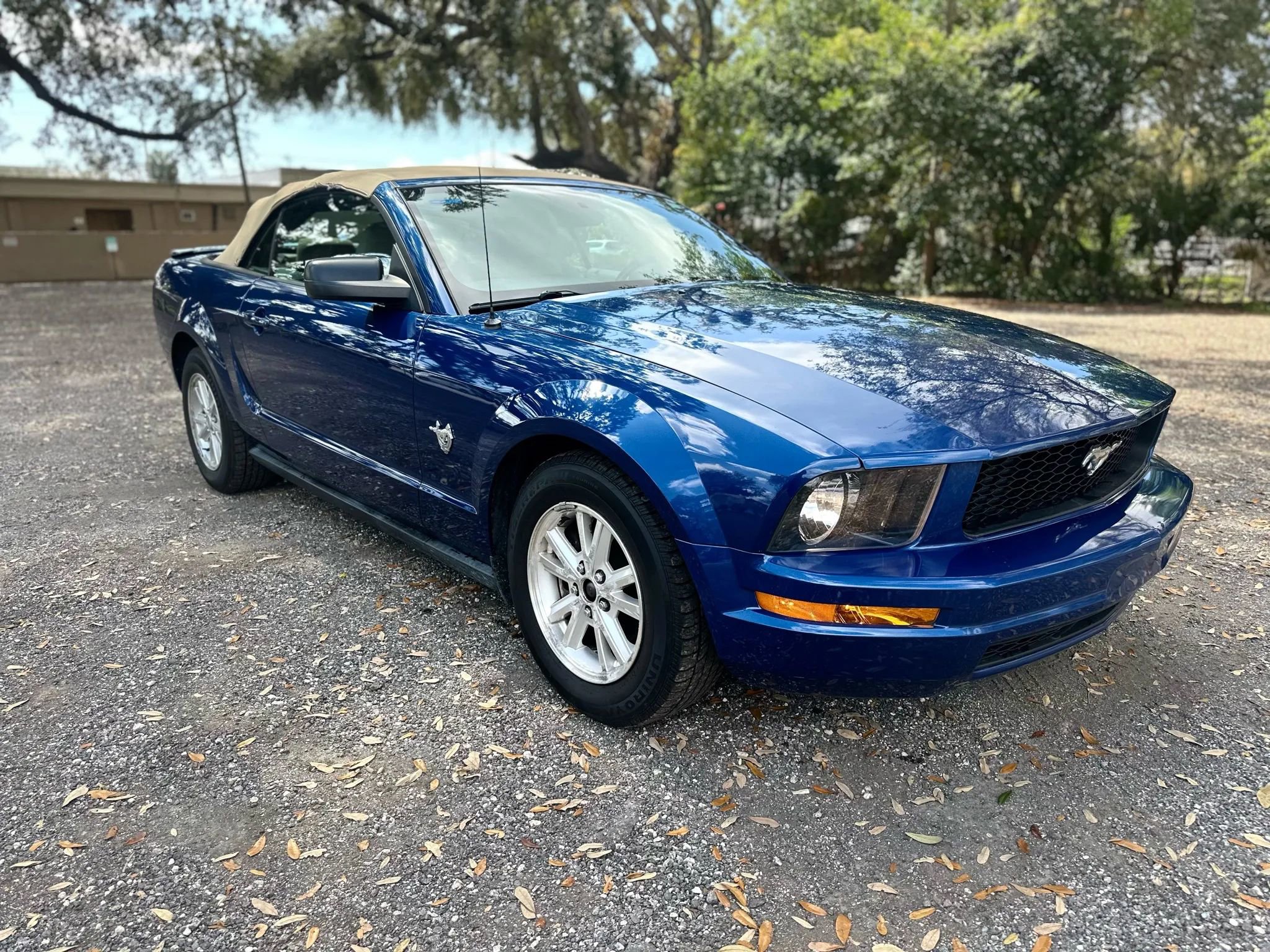 Used 2009 Ford Mustang Deluxe Convertible image 3