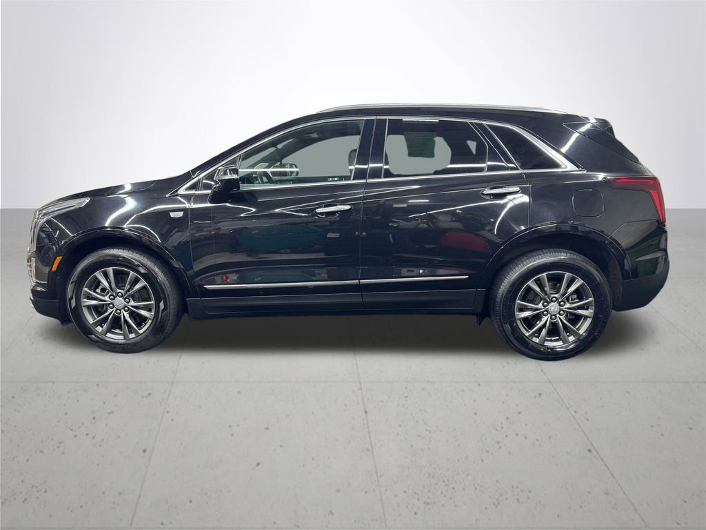 Used 2023 Cadillac XT5 Premium Luxury image 3