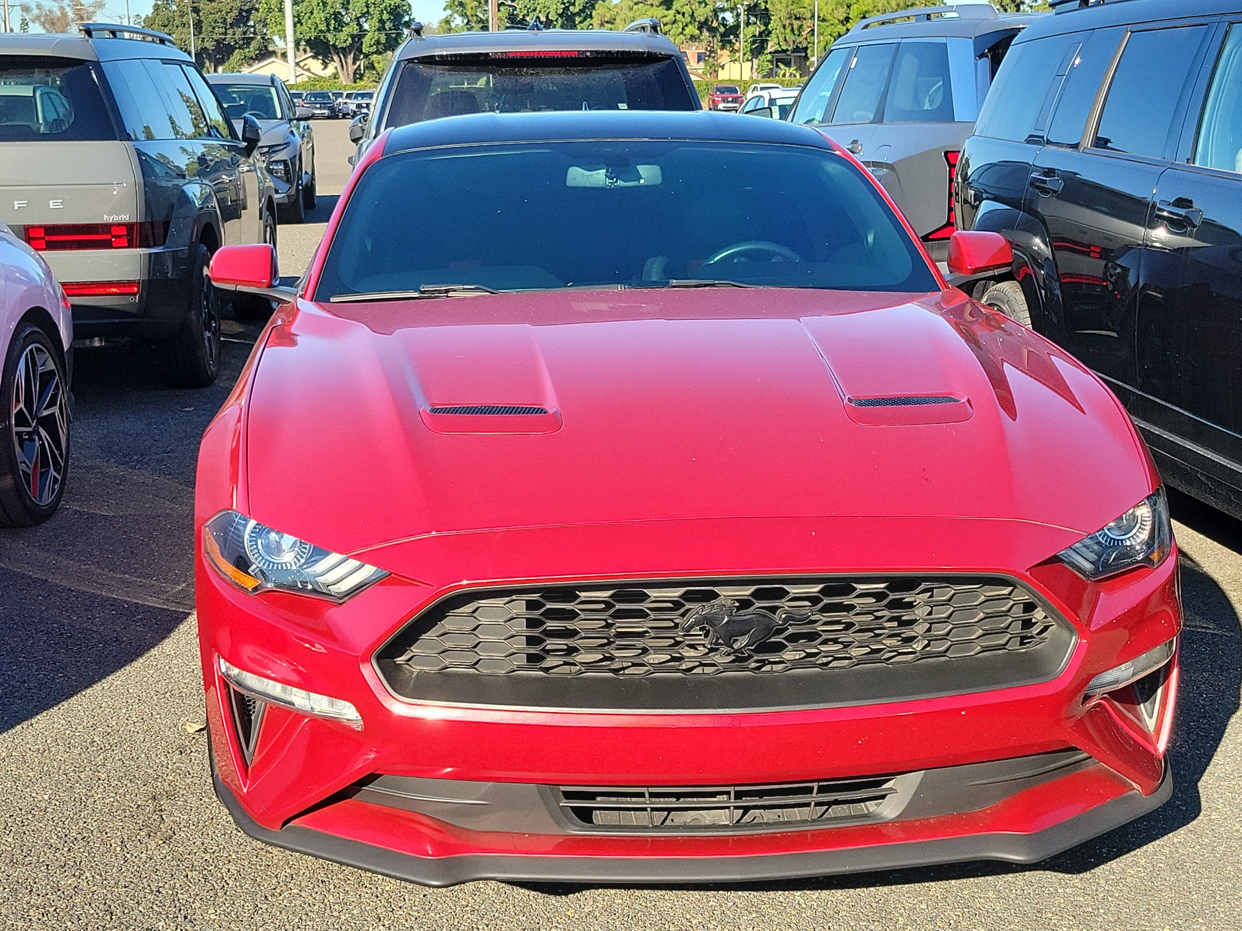 Used 2020 Ford Mustang Coupe w/ Equipment Group 101A RWD image 2