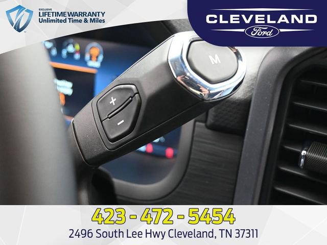 New 2025 Ford F150 XLT w/ Equipment Group 301A Standard image 21