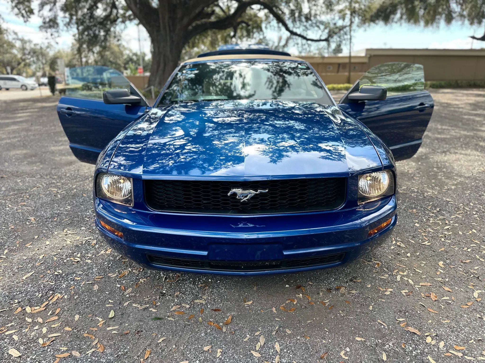 Used 2009 Ford Mustang Deluxe Convertible image 2