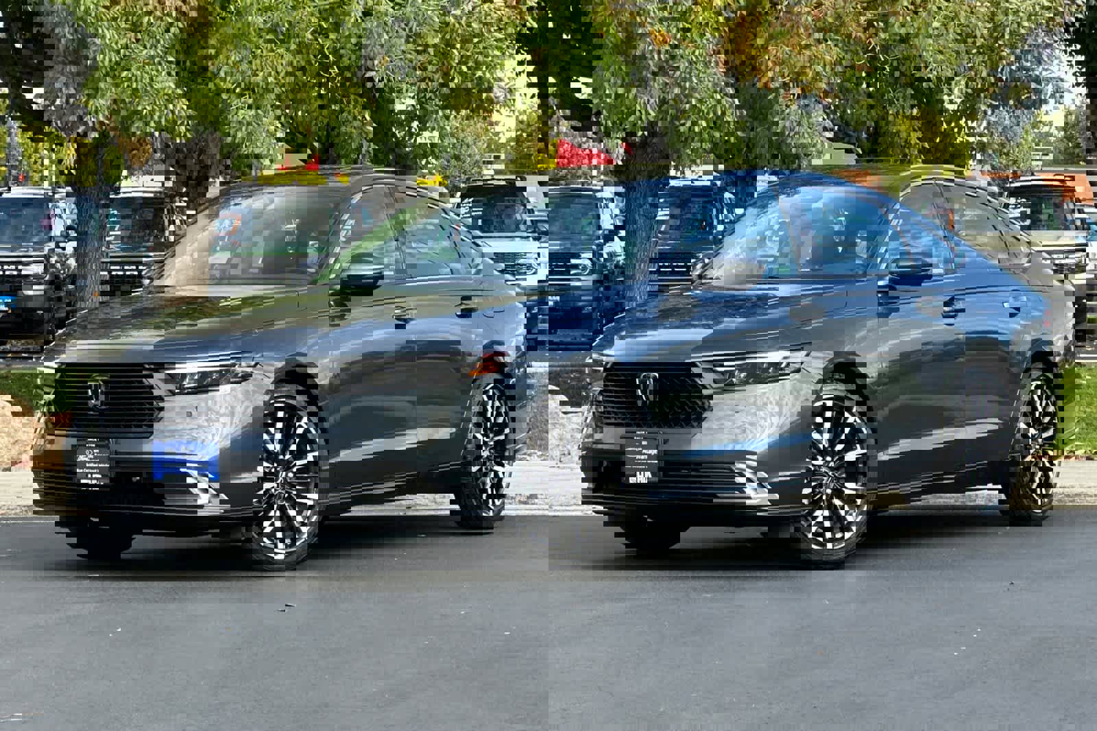 Used 2023 Honda Accord Touring image 1