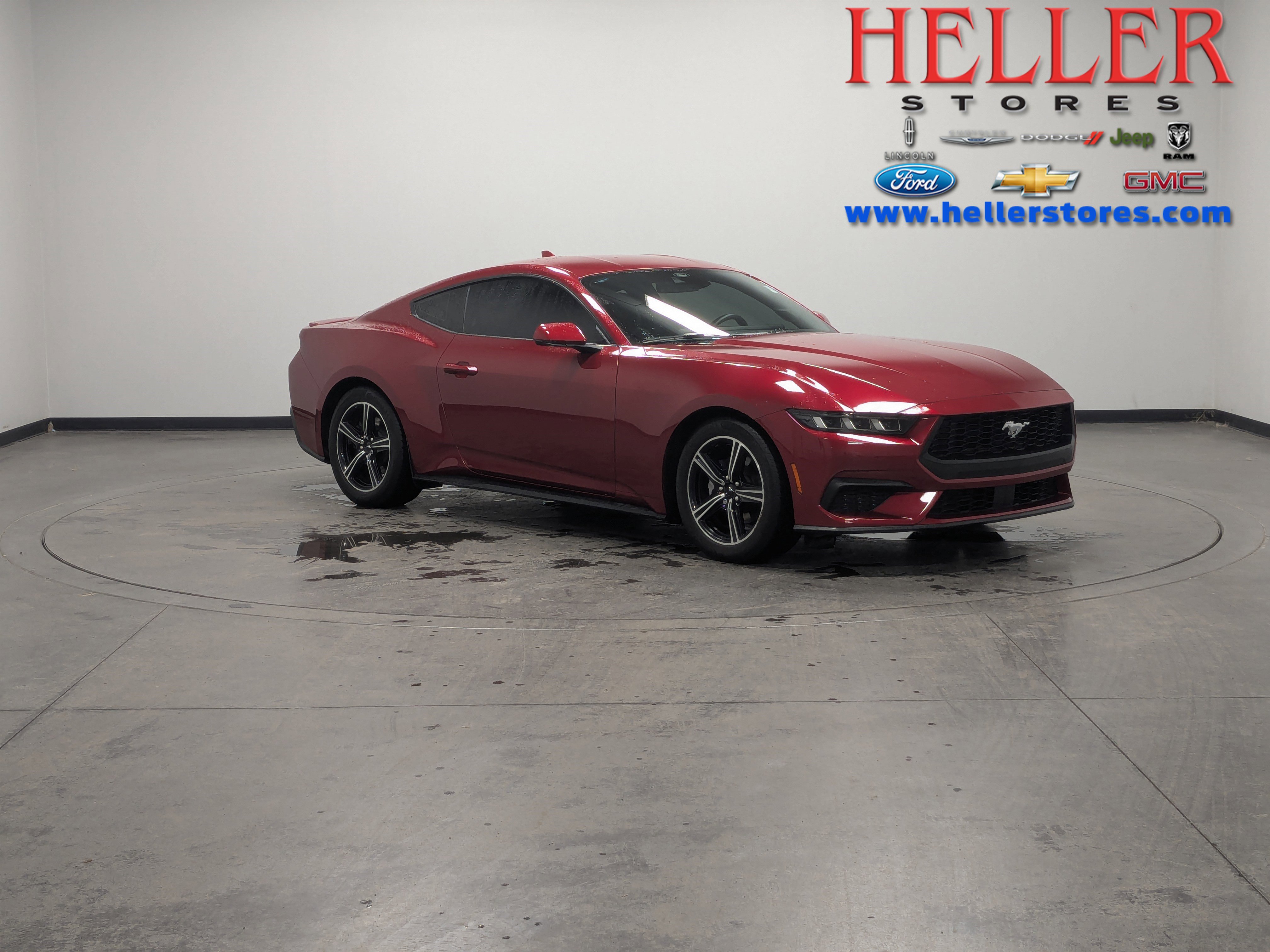 Used 2024 Ford Mustang Premium image 1