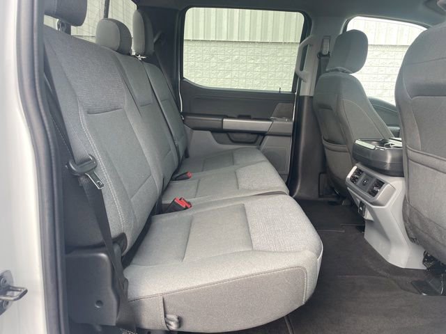 Used 2025 Ford F150 XLT w/ Equipment Group 302A MID image 15