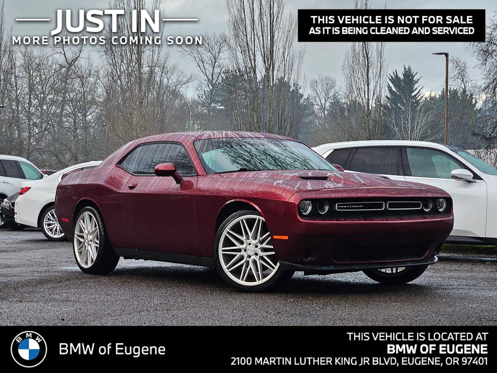 Used 2019 Dodge Challenger SXT image 1