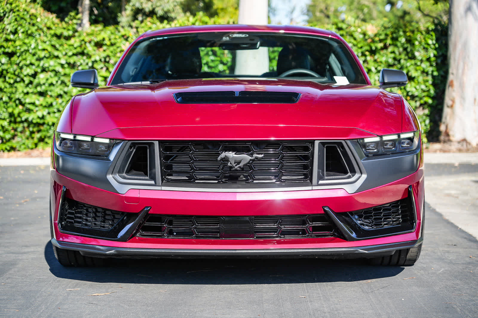 Used 2025 Ford Mustang Dark Horse image 4