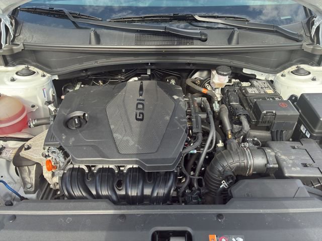 Used 2024 Kia Sportage X-Pro image 21