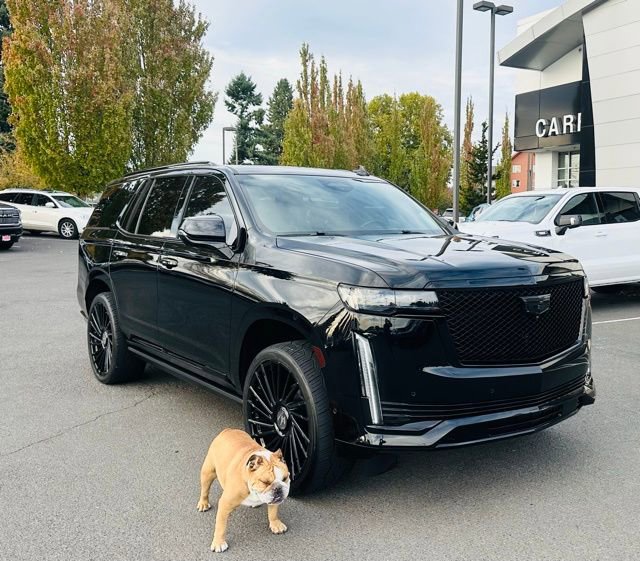 Used 2022 Cadillac Escalade Sport Platinum