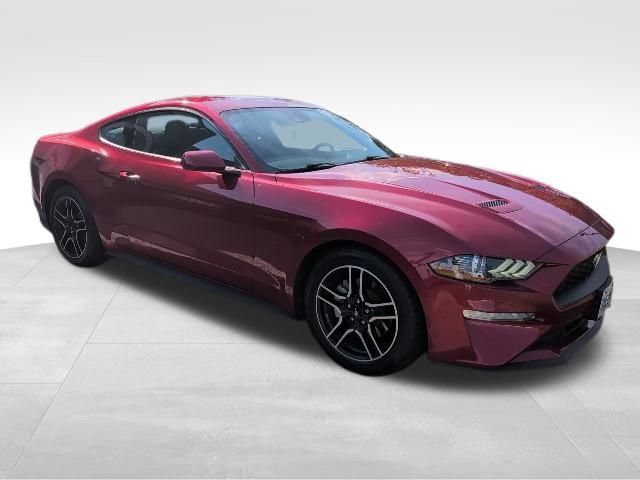 Used 2022 Ford Mustang Coupe w/ Equipment Group 101A RWD image 6