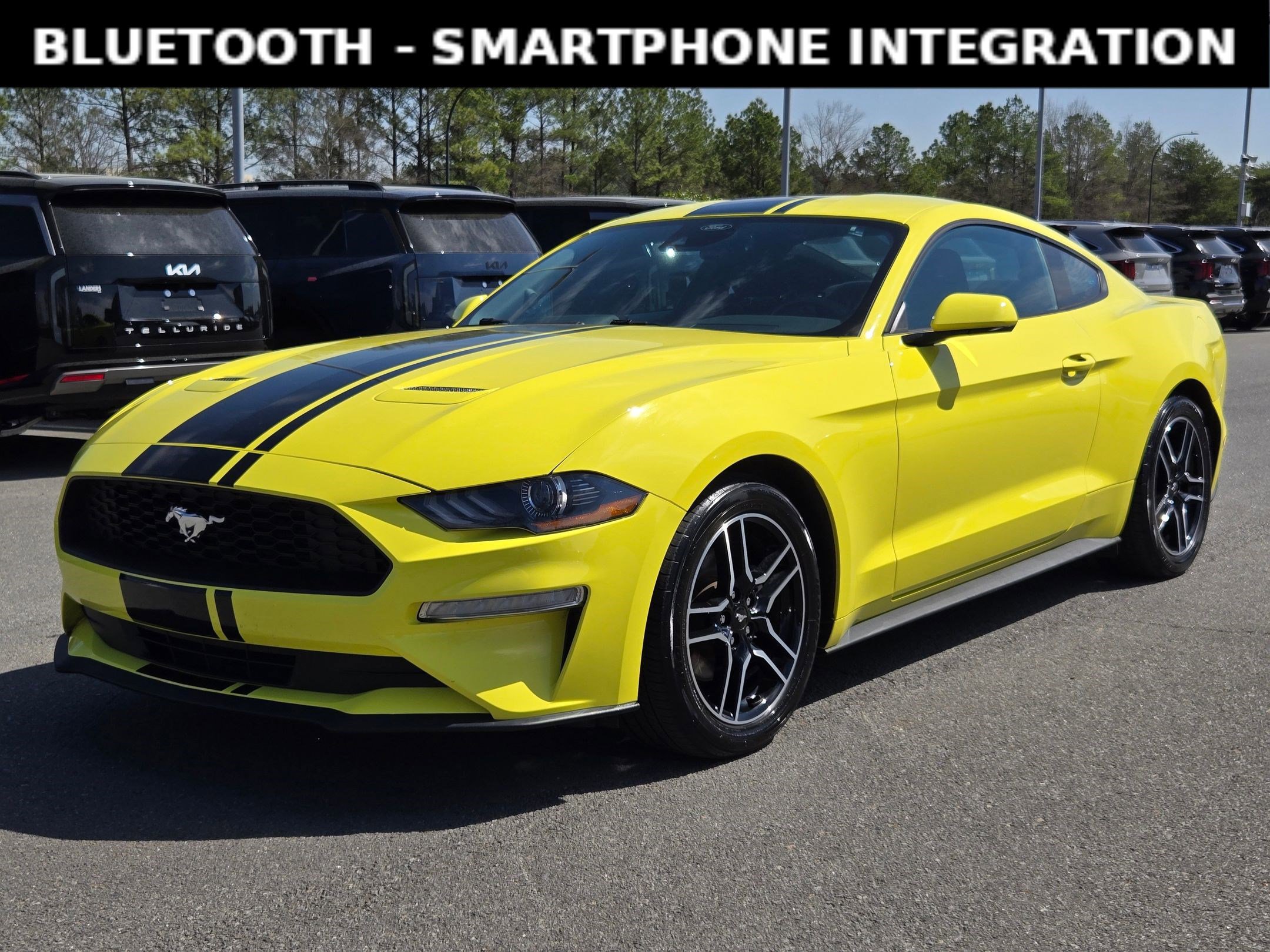 Used 2021 Ford Mustang Coupe w/ Equipment Group 101A image 3