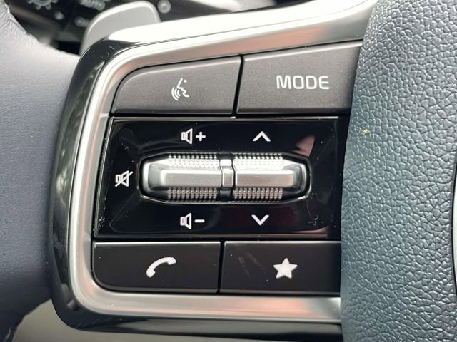 New 2026 Kia Carnival SX Prestige image 30