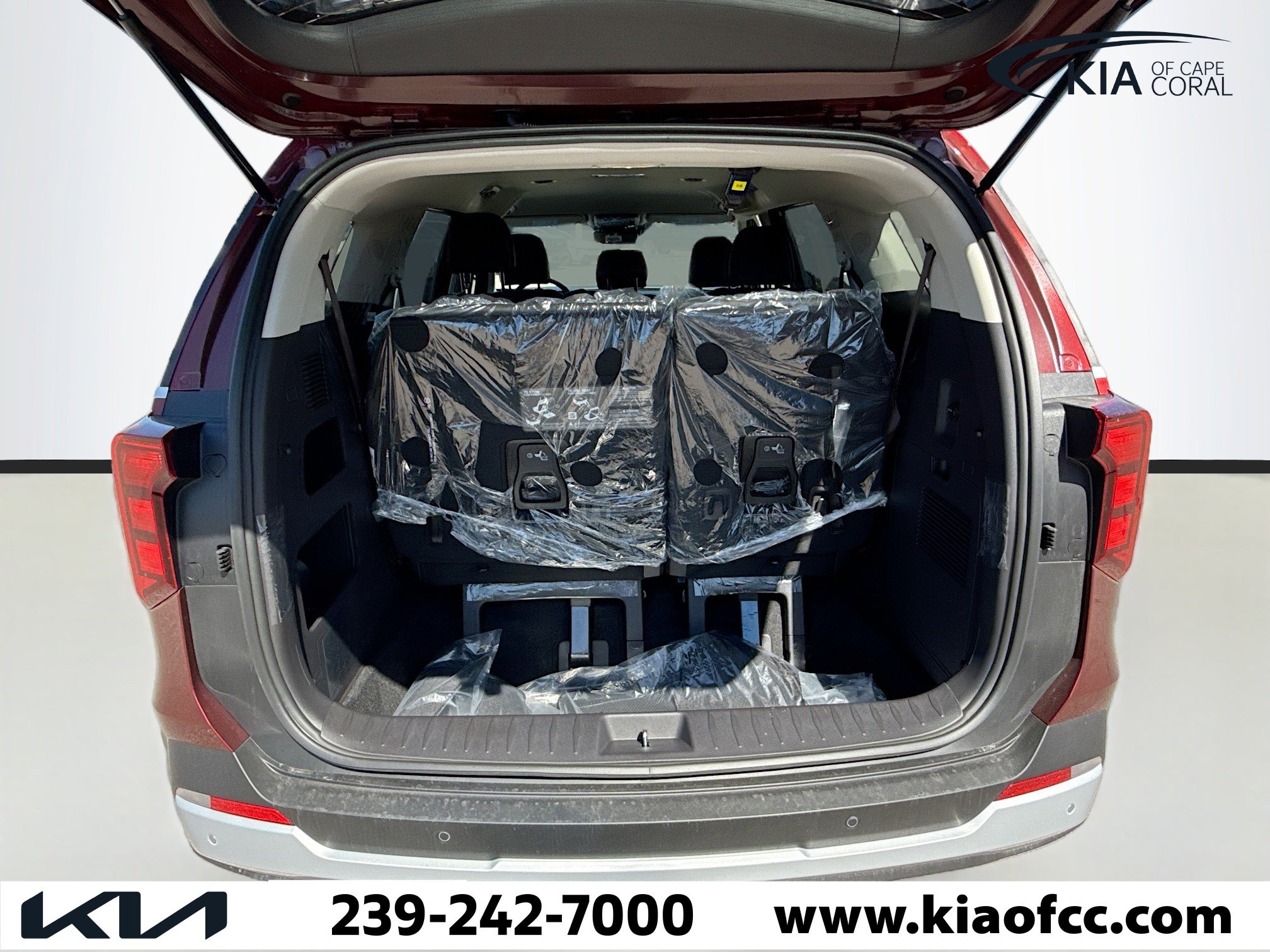 New 2026 Kia Carnival image 11