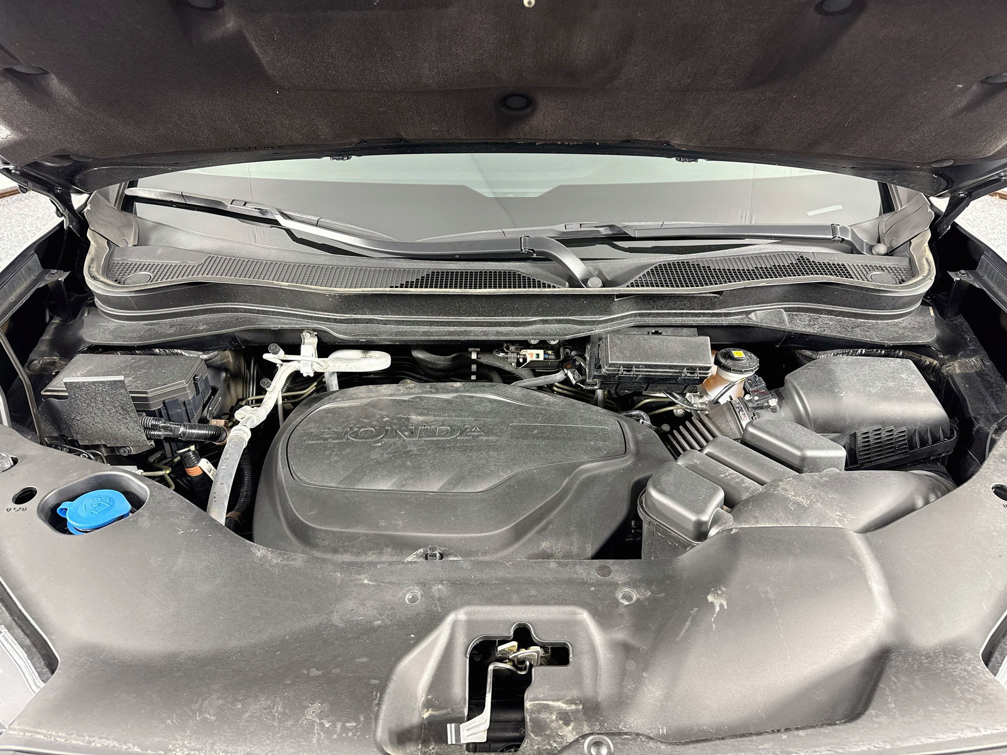 Certified 2024 Honda Passport TrailSport image 31