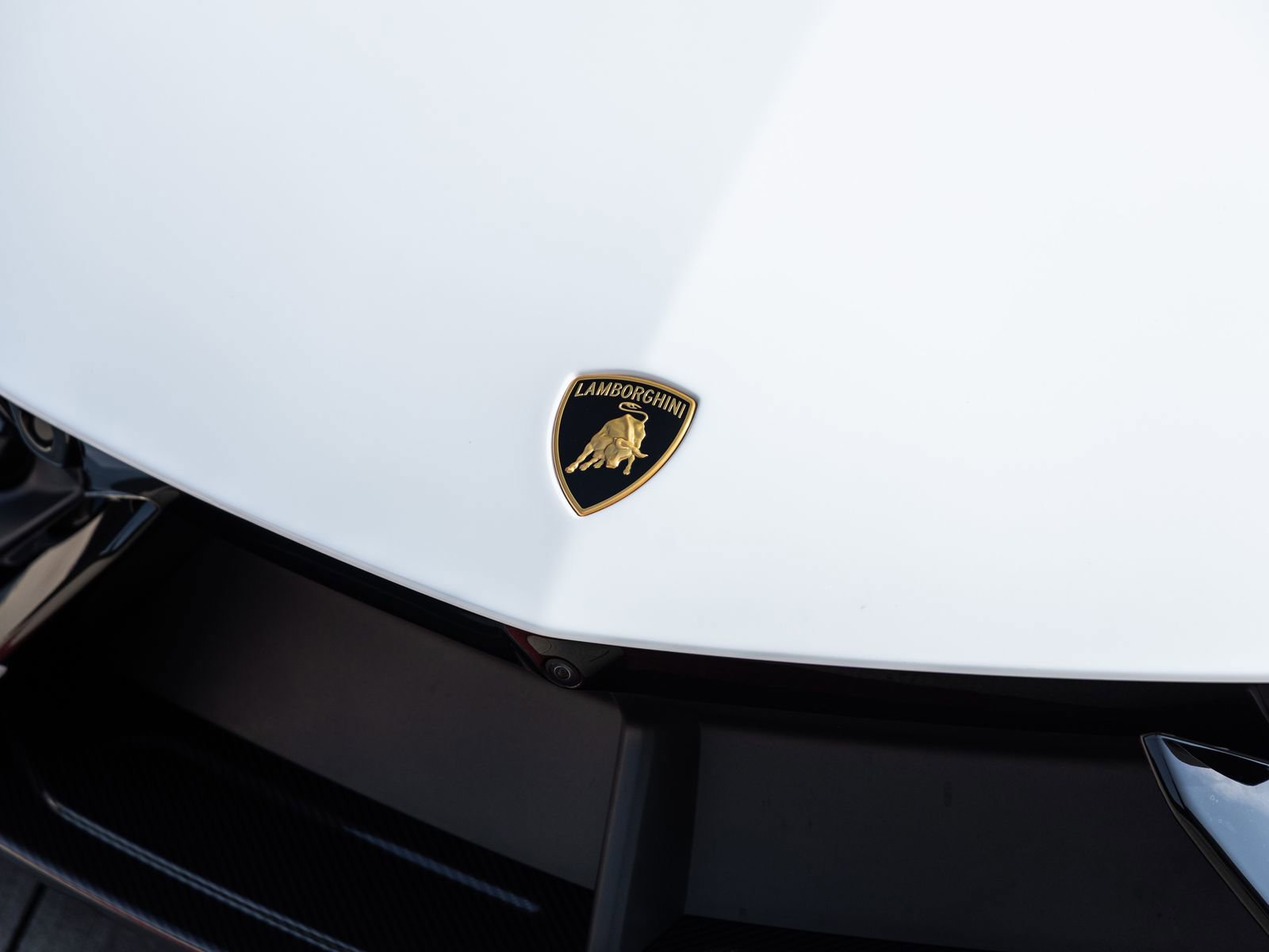 Used 2024 Lamborghini Revuelto AWD/4WD image 20