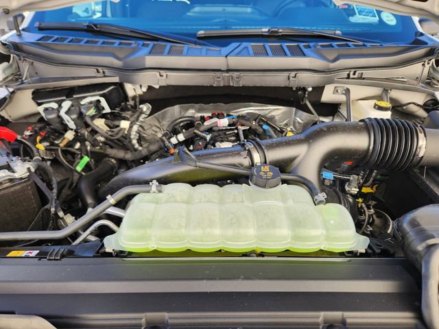 New 2025 Ford F150 XLT w/ Equipment Group 303A High image 21