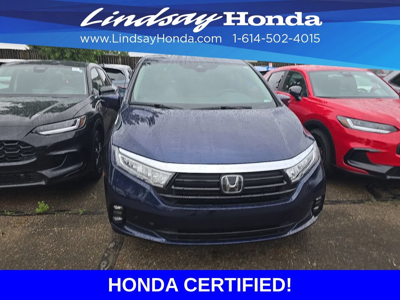 Used 2023 Honda Odyssey Elite image 2