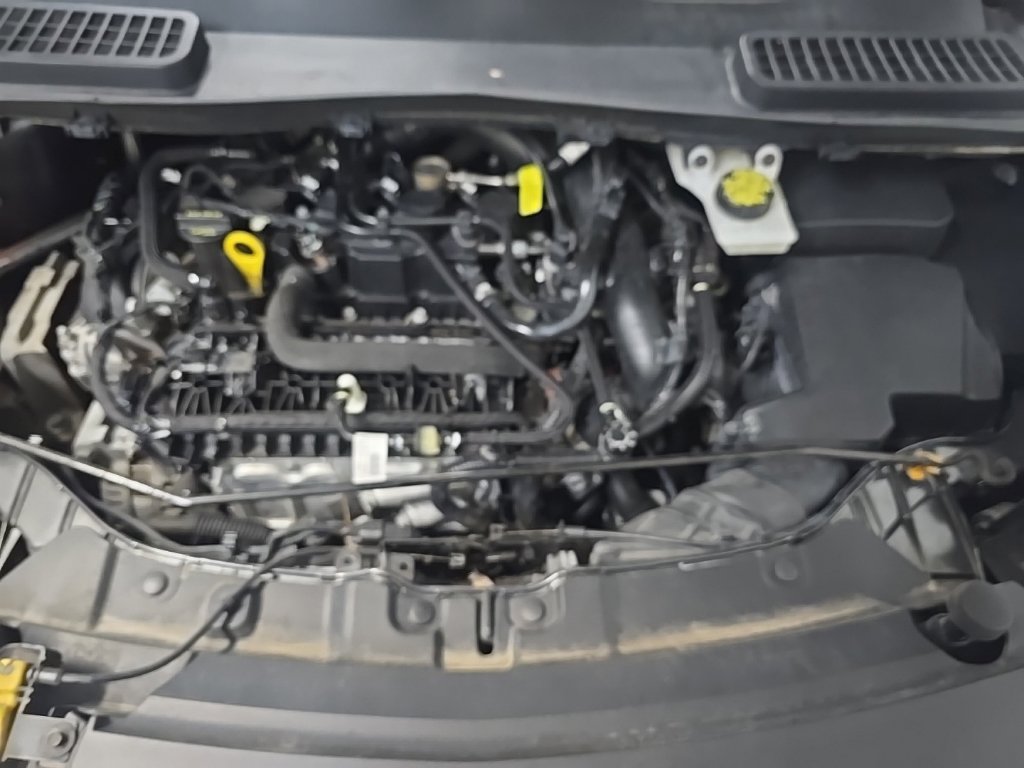 Used 2019 Ford Escape SE AWD/4WD image 12