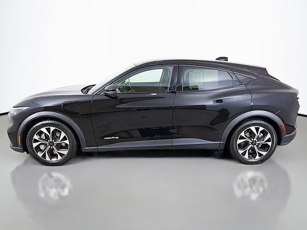 Used 2025 Ford Mustang Mach-E Select w/ Comfort Package Lite image 14