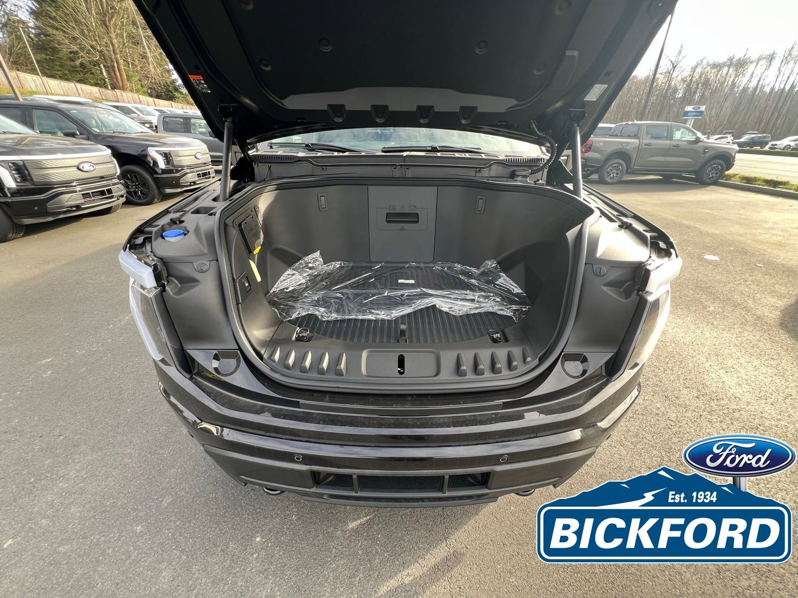 New 2025 Ford F150 Lightning Flash AWD/4WD image 3