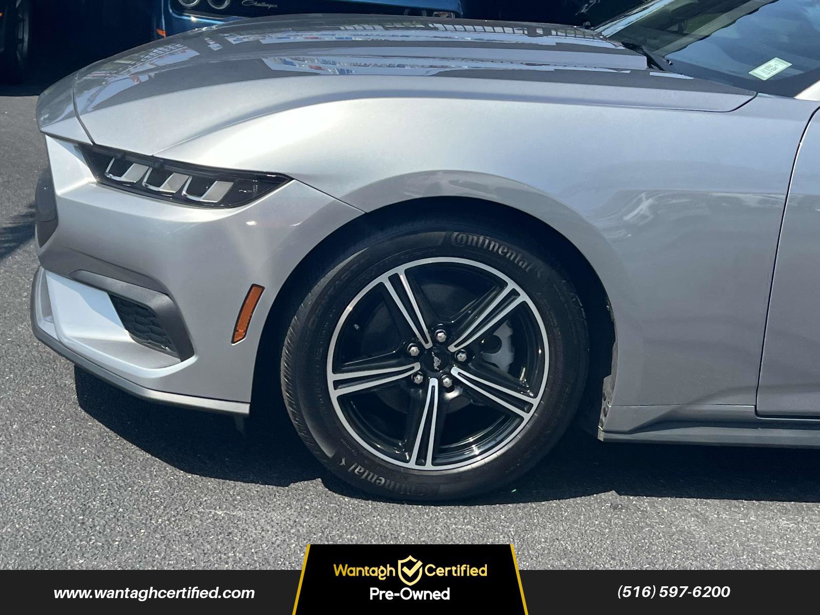 Used 2024 Ford Mustang Premium image 7
